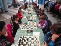 DSCN5246.JPG